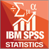SPSS Statistics Icon