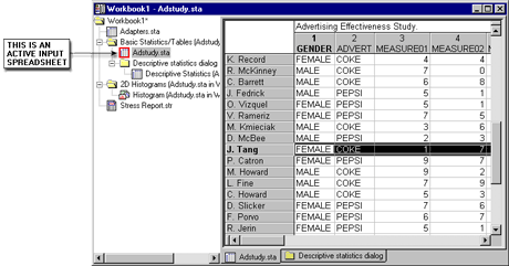spreadsheet input datafile